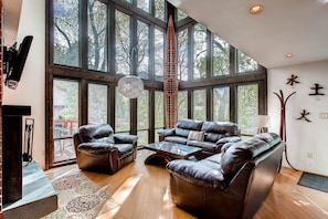 Living Room: Overlooks the Stream!