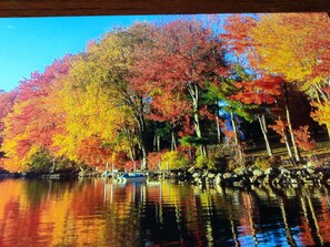 Gorgeous fall foliage 