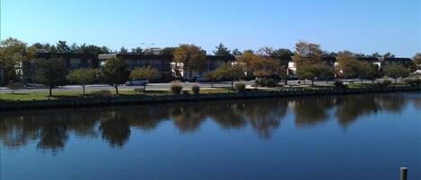 View from covered side deck