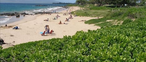 Kamaole III Beach