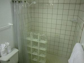 Glass Block, Spacious Walk in Shower with Sculpted Seahorse Tiles