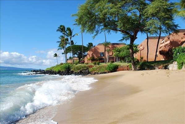 Ground floor, oceanfront  lets you step out your door to ocean