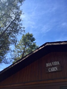 Perfect Cabin for families, couples & dogs, minutes from a soak in Hot Springs 