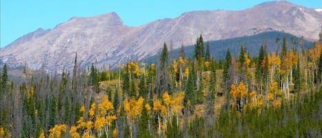 view from the living room in the fall