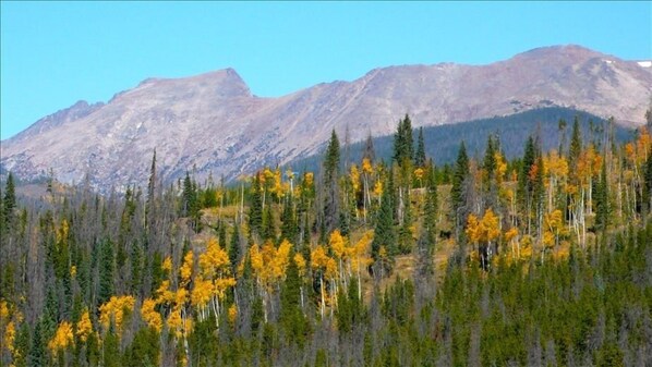 view from the living room in the fall