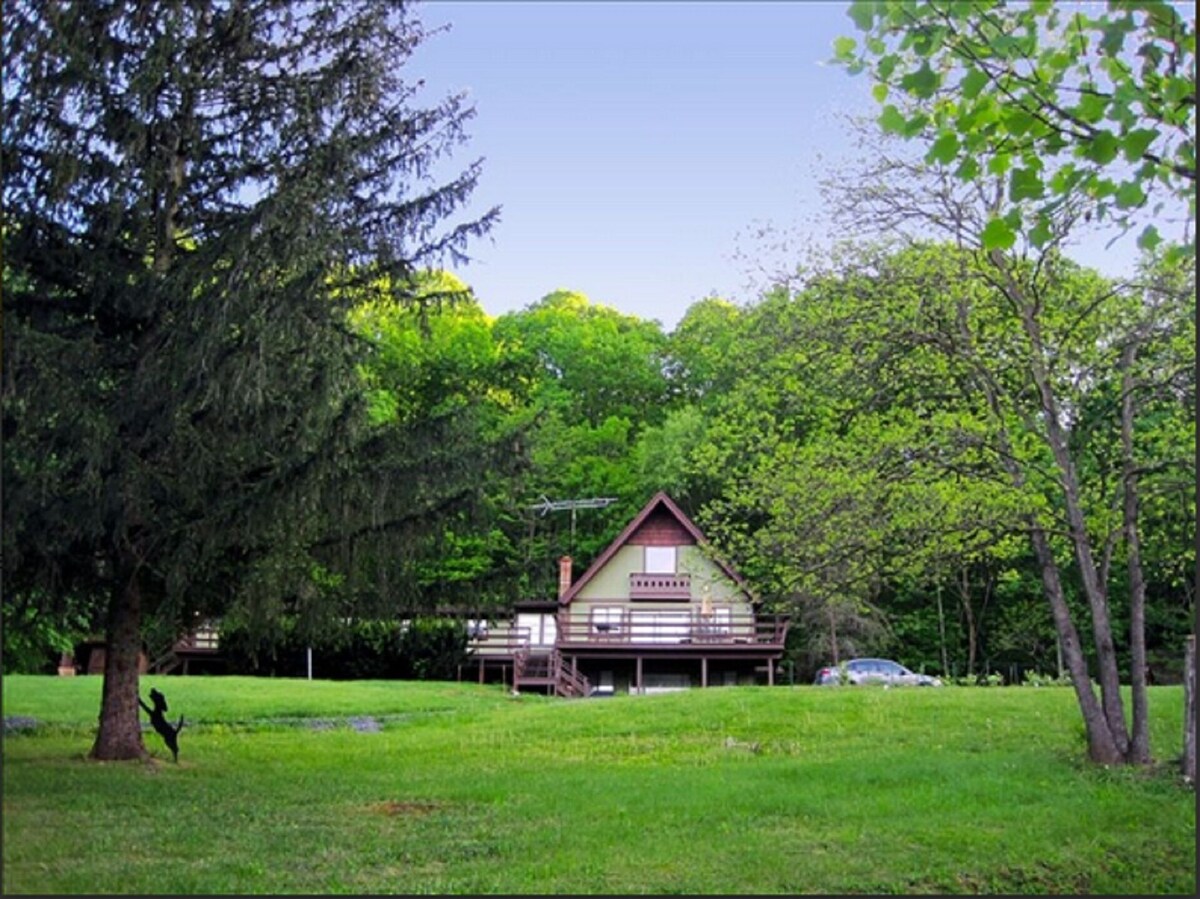 Main Image