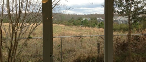 View looking out back patio