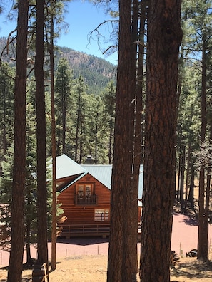 north side of cabin from hill.  check out the views!