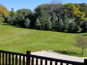 View from the main level deck  showing Property line at the evergreen trees.