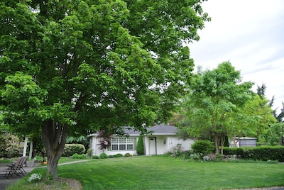 Quiet, Modern, Cottage