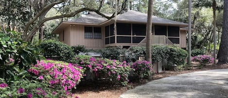 Beautiful two level home with private, fenced pool. Azaleas in April.
