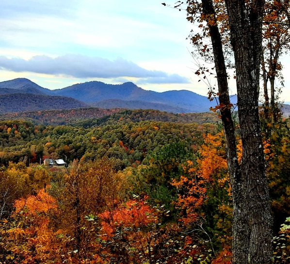 Autumn Foliage view from porch