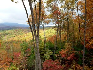 Autumn View to the Northeast looking toward Nantahala National Forest 