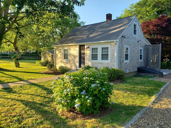 Main Cottage in Edgartown 
