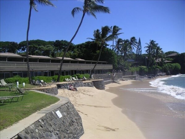 Our beach