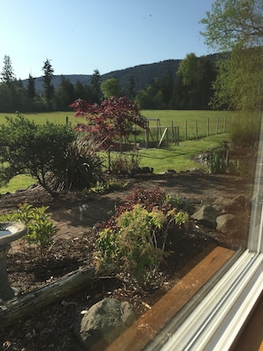 View from lying in bed in the morning.