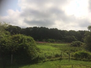 Back yard with great view to relax!
