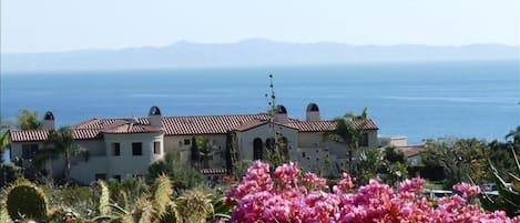 Two Adjacent Oceanside Casitas with 6 Bedrooms and Adjoining Fireplace Loggias
