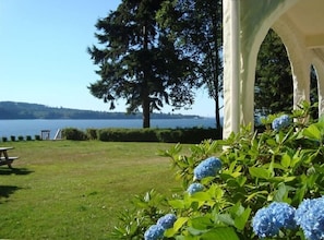 The front yard, looking west