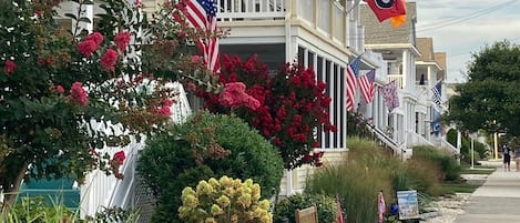 View of Home from the Street ( green awnings) 