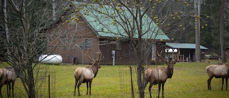 Parco della struttura