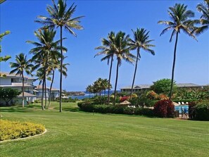 The spacious lanai has a view of the ocean as well as the pool.