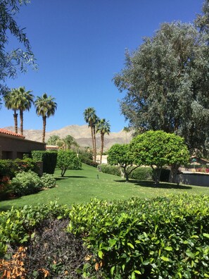 View from side patio where the gas grill sits.