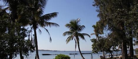 View of Manatee River from back yard - notice seating around a firpit!!