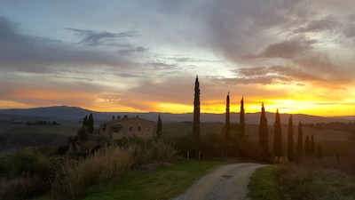 FARMH. PODERE CUNINA 25 KM SUD SIENA DI FRONTE AL MONTALCINO PRENDENDO LEZIONI DI CUCINA