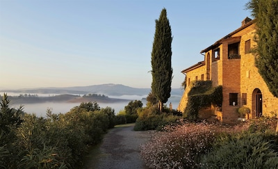 FARMH. PODERE CUNINA 25 KM SUD SIENA DI FRONTE AL MONTALCINO PRENDENDO LEZIONI DI CUCINA