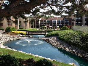 So appreciating the beauty of the landscaping here.
