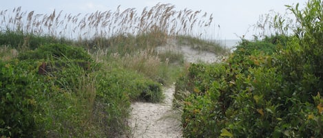 Dunes in front of the Hilton Head Beach Villas property