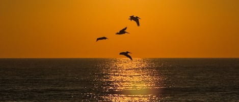 Sunset on beach