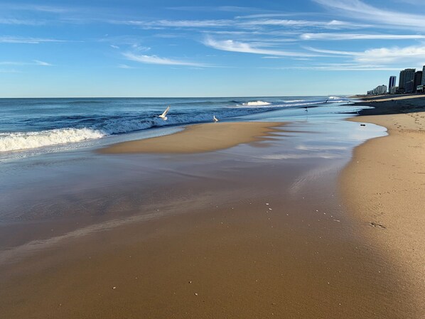 Beach (1 minute walk from the house)
