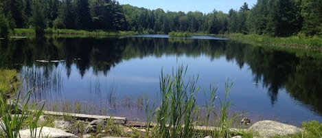 Frenchman's Pond  - 100 meters from the house