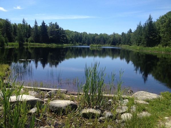 Frenchman's Pond  - 100 meters from the house