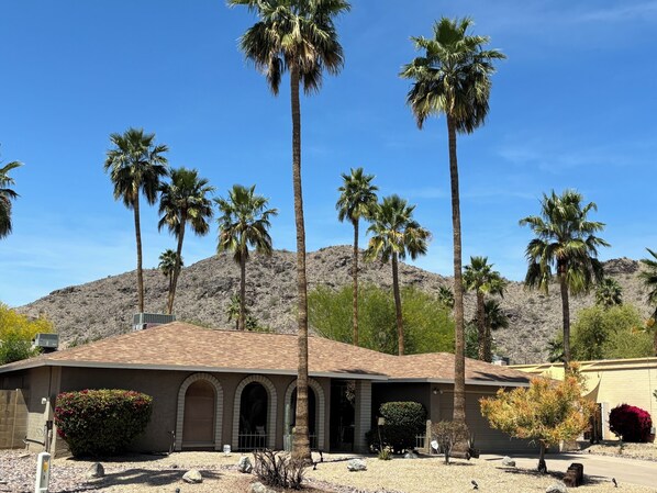 9 Palms with South Mountain in the background. Yes. We have 9 Palm trees.