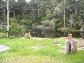 Our side yard, good Pike fishing area