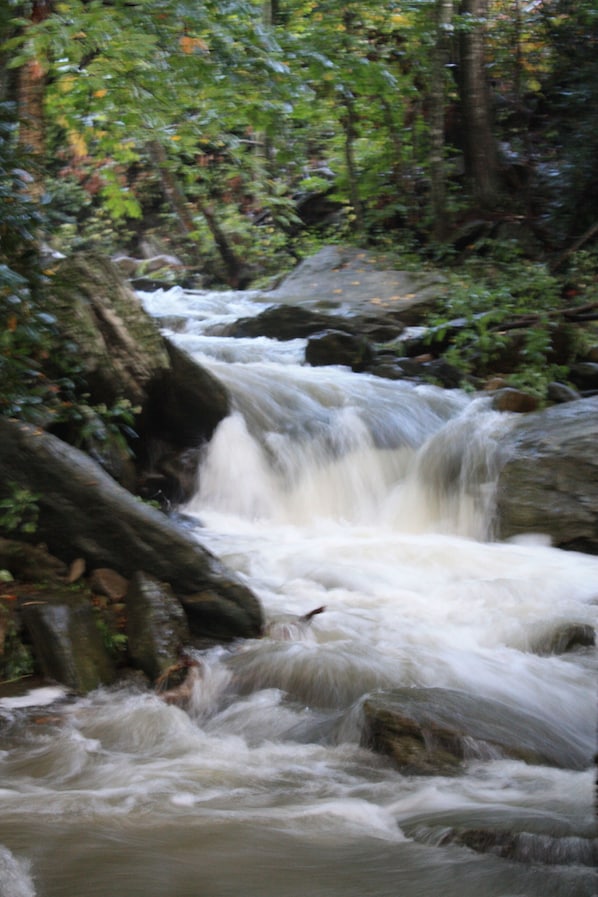 Bryson's Creekside Cabin sits on Otter Falls which can be heard throughout house