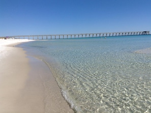 Search for sand dollars in the crystal clear gulf water