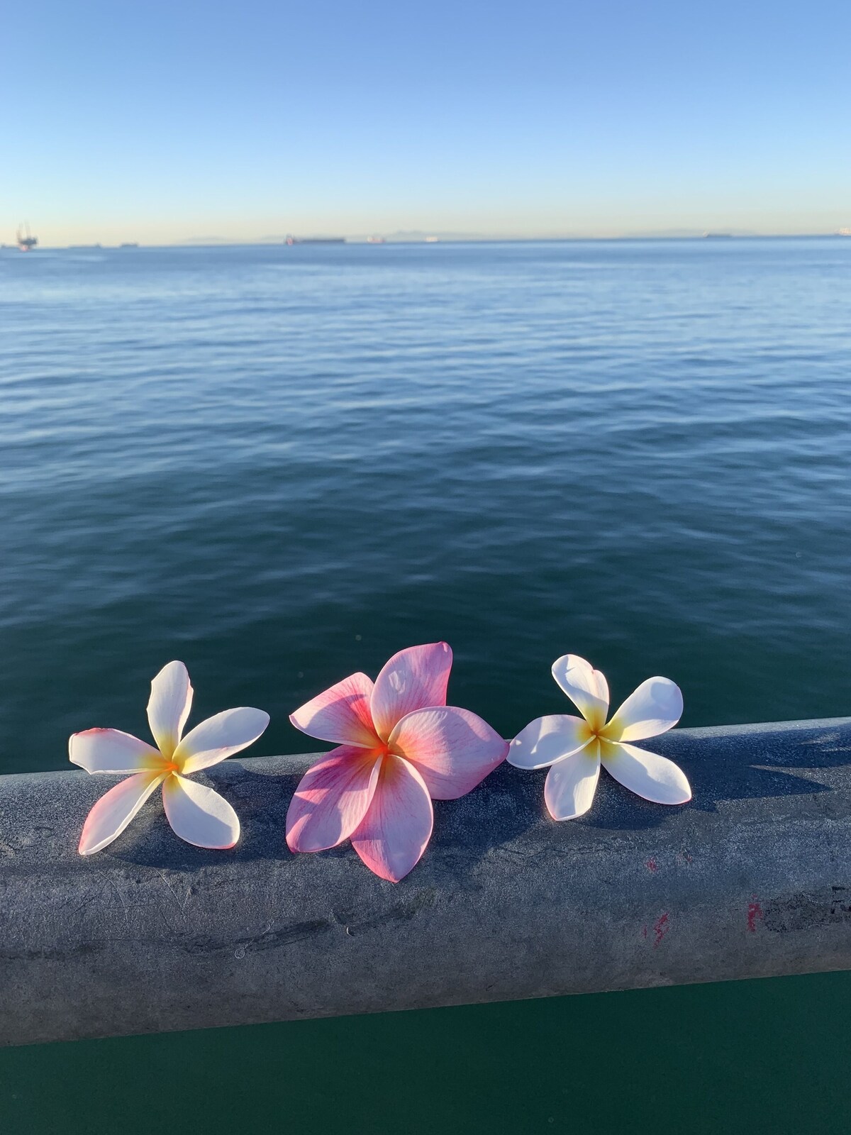 “Pineapple Bungalow”  Located steps to the Ocean.  Relax & make memories in SB.