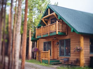 The cabin in summer