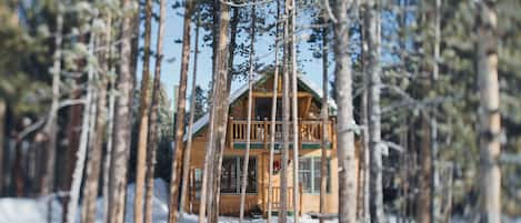 Quiet, cosy and private cabin nestled amongst the towering pines