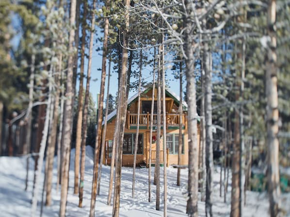 Quiet, cosy and private cabin nestled amongst the towering pines