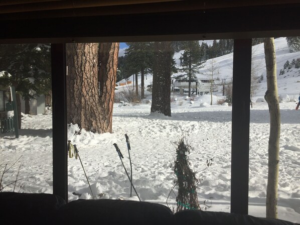 Yup, those are our skis and poles right outside our window.  Looking at KT.