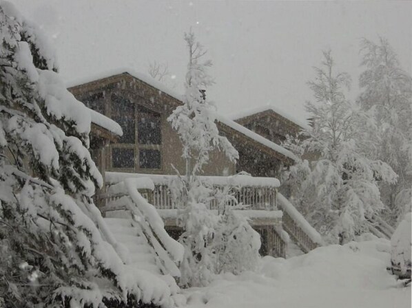 The end result of the blizzard, a Winter Wonderland