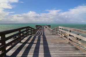 Private Fishing Pier complete with fish cleaning station.