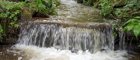 Waterfall in the stream