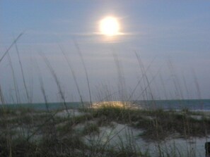 yes, this is the moon!  a picture taken from our boardwalk in the evening.