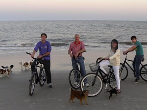 family favorite recreation, bike riding the Island. These are our 5 canines.